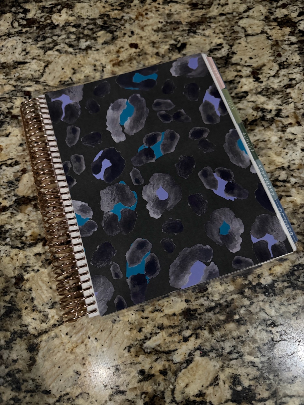 Erin Condren Planner